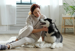 Atendimento de emergência 24 horas no Hospital Veterinário Na Praia