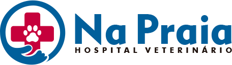 Hospital Veterinário Na Praia